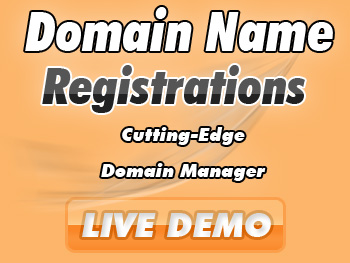 Economical domain name services